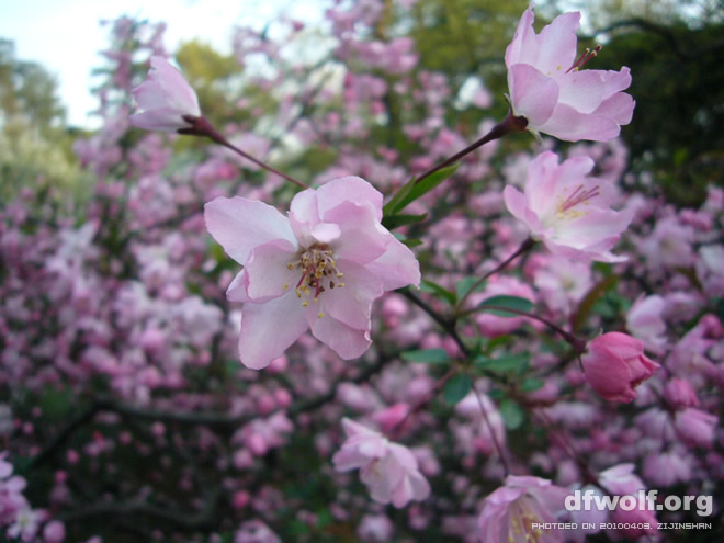 偶遇4月蓝天