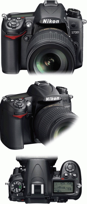 Nikon D7000 图片